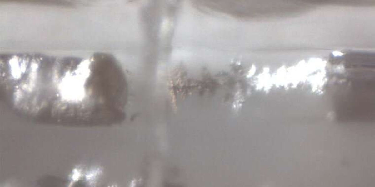 Snapshot of sodium (Na) penetrating a layer of the separator in a sodium metal anode. (Image courtesy of Bai lab)