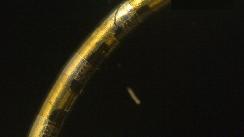 The NeuroString is just a quarter of a millimeter in diameter – about the width of a human hair – and can host hundreds to thousands of independent electronic channels that could be used to sense, stimulate, or monitor parts of the human body. | Courtesy Bao Lab