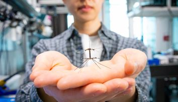 RoboBee comes in for a landing