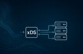 How xDS Makes Replicated Inference Possible and Reduces Downtime in Stream Monitoring Systems