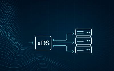 How xDS Makes Replicated Inference Possible and Reduces Downtime in Stream Monitoring Systems
