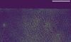 minimal-tile-img-1