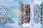 Innovative earth-abundant metal catalysts offer a solution to convert carbon dioxide into fuels