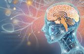 Can You Upload a Human Mind Into a Computer? A Neuroscientist Ponders What's Possible