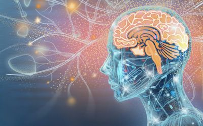 Can You Upload a Human Mind Into a Computer? A Neuroscientist Ponders What's Possible