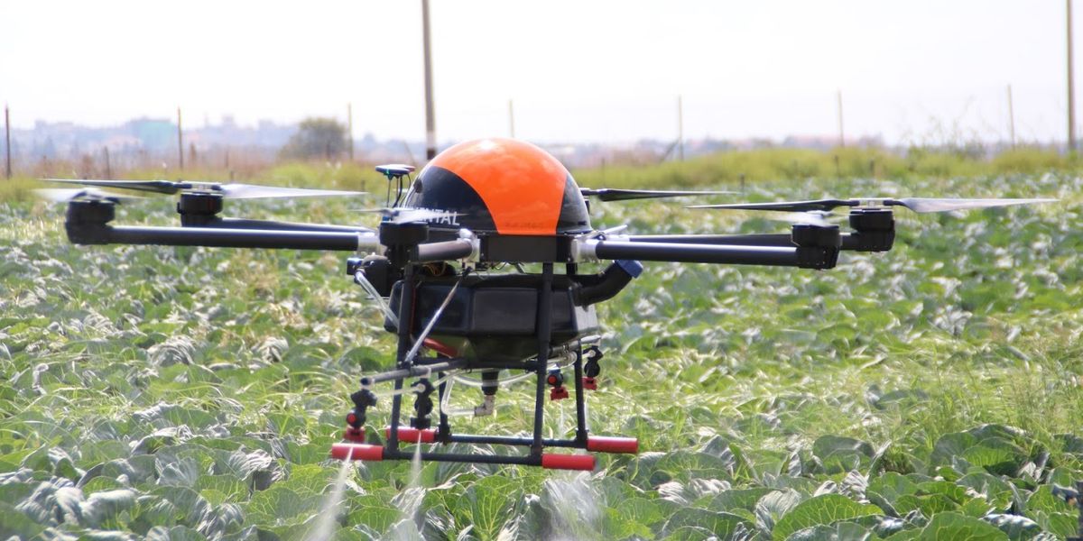 Enabling the sustainable transformation of agriculture with the Internet of Things