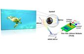 World-First Adoption of Thin Film Lithium Niobate (TFLN) as Imaging Device