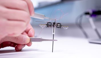 Hopping gives this tiny robot a leg up
