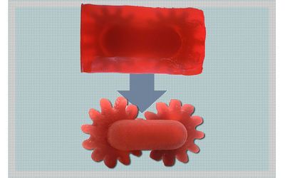 New 3D printing method enables complex designs and creates less waste