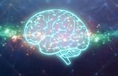 A step towards understanding machine intelligence the human way