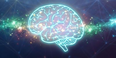 Multi colored and connected polygons shaped of human brain symbolizing neural connections in brain and artificial intelligence © iStock