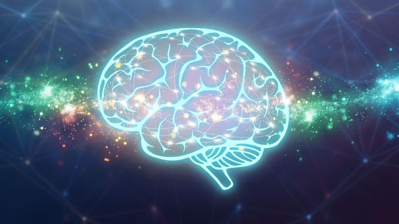 Multi colored and connected polygons shaped of human brain symbolizing neural connections in brain and artificial intelligence © iStock