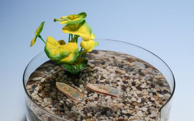 Eco-friendly aquatic robot is made from fish food