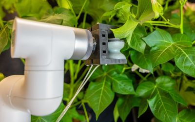 Soft robotic gripper injects leaves with precision