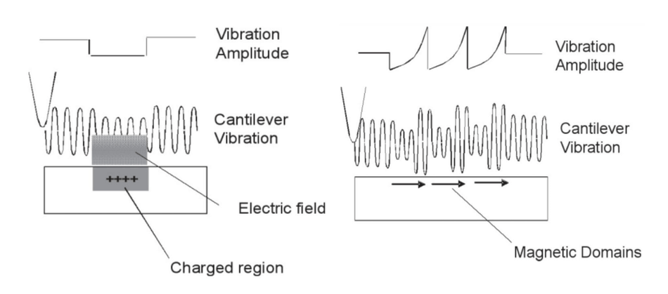 Field measurement Atomic Force Microscopy