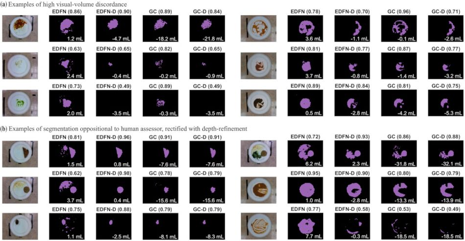 A series of plates with varying amounts of food on them, along with the segmentation images produced by the EFDN and EFDN-D networks alongside GC and GC-D networks.
