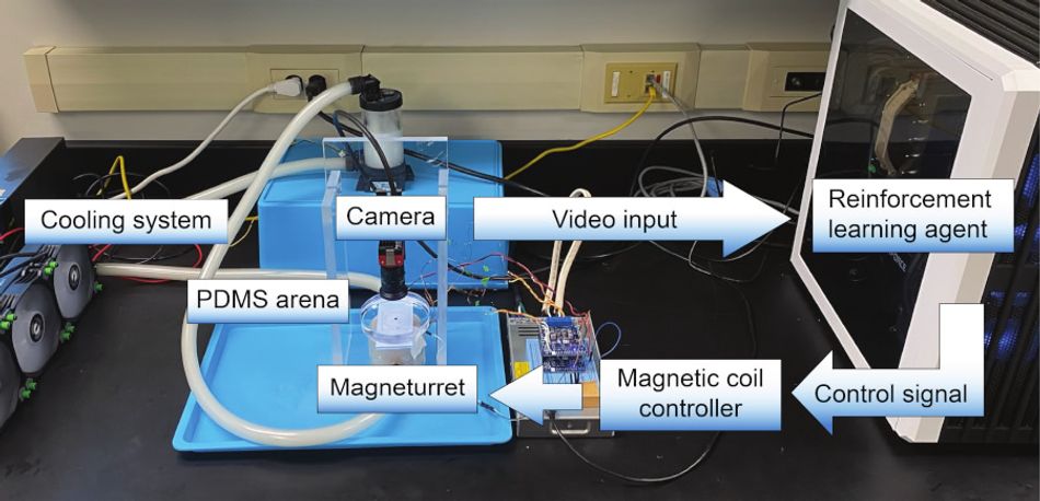 A labelled photograph of a microrobot training and experimentation setup: items are labelled cooling system, PDMS arena, camera, video input, reinforcement learning agent, control signal, magnetic coil controller, and Mangeturret.