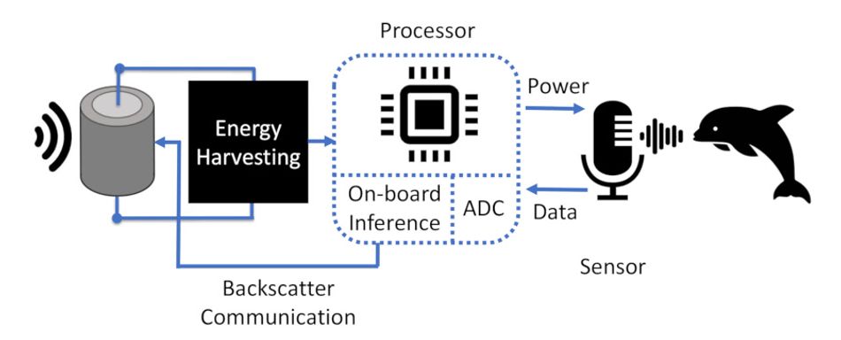 An overview diagram of an undersea sensor system which harvests sound energy and uses backscatter communication to transmit the results of on-board inference based on animal sounds captured by a hydrophone.