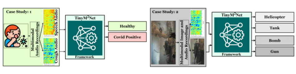 TinyM2Net Framework Evaluation