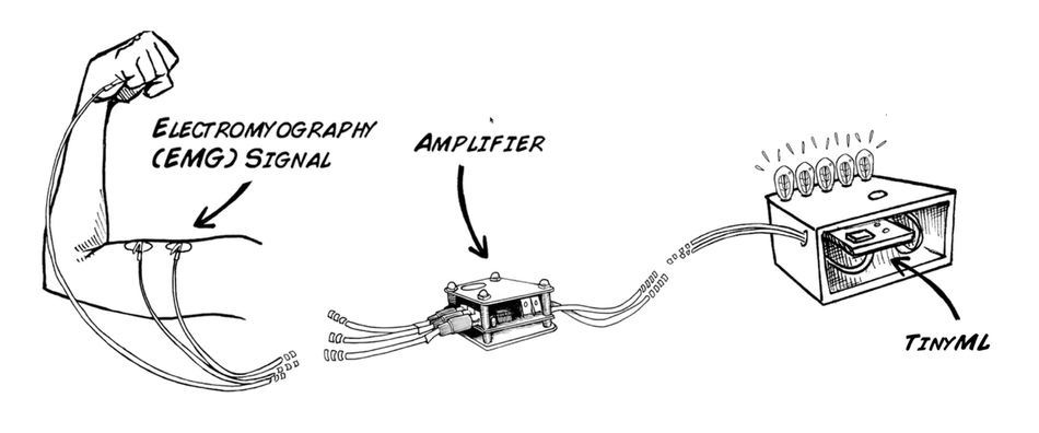 EMG-signals-backyard-brains