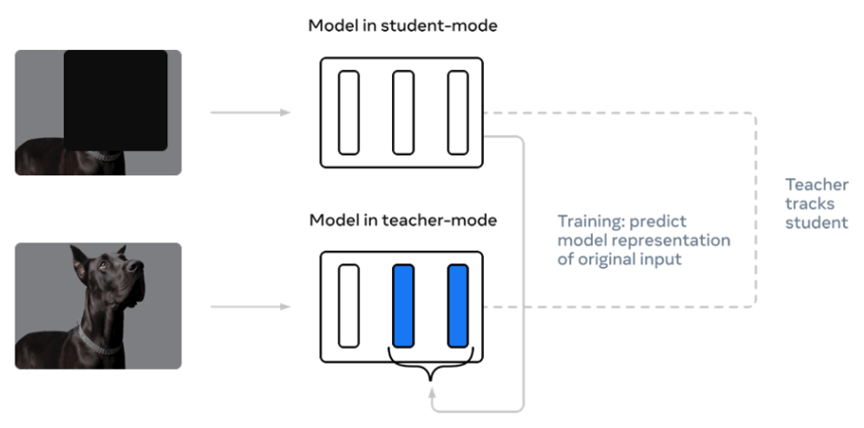 Teacher Student Neural Network Model