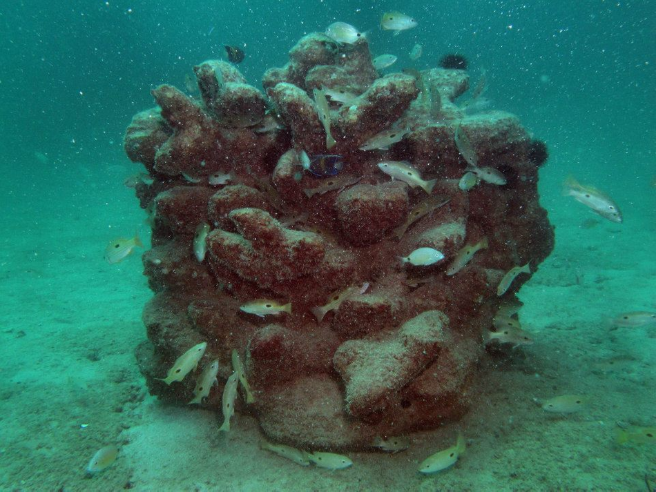 Artificial reefs