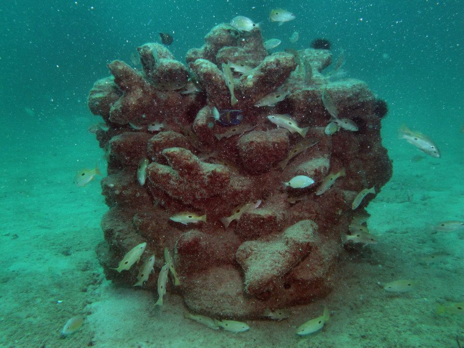 Artificial reefs