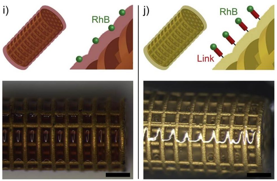 Production steps for hydrogel coated microrobots 2