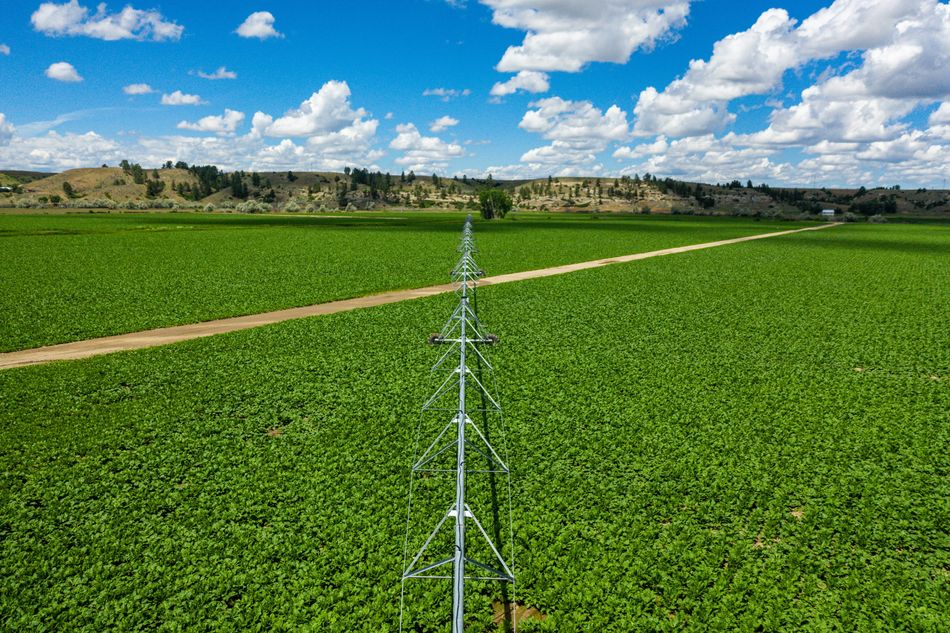 An Irrigation System