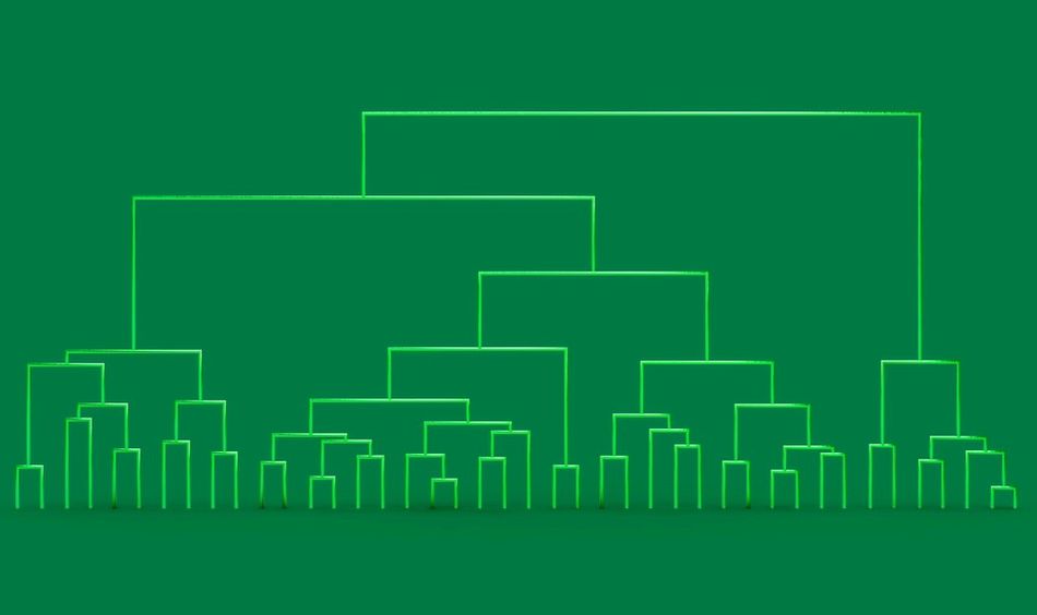 A Dendrogram visualizing the results of hierarchical clustering 