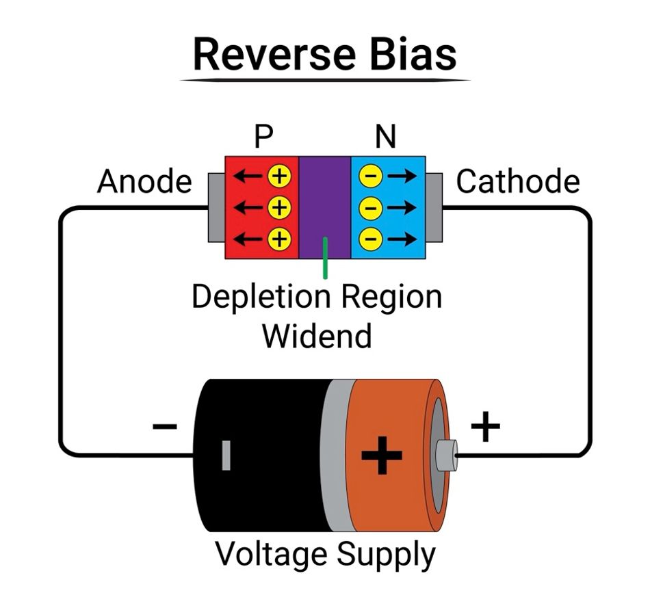 A reverse-biased diode has a wider depletion region, causing an open circuit