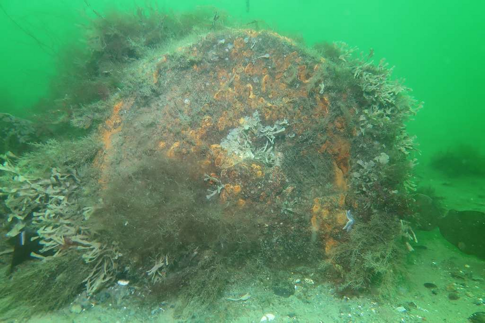 Unexploded Ordnance Naval Bottom Mine