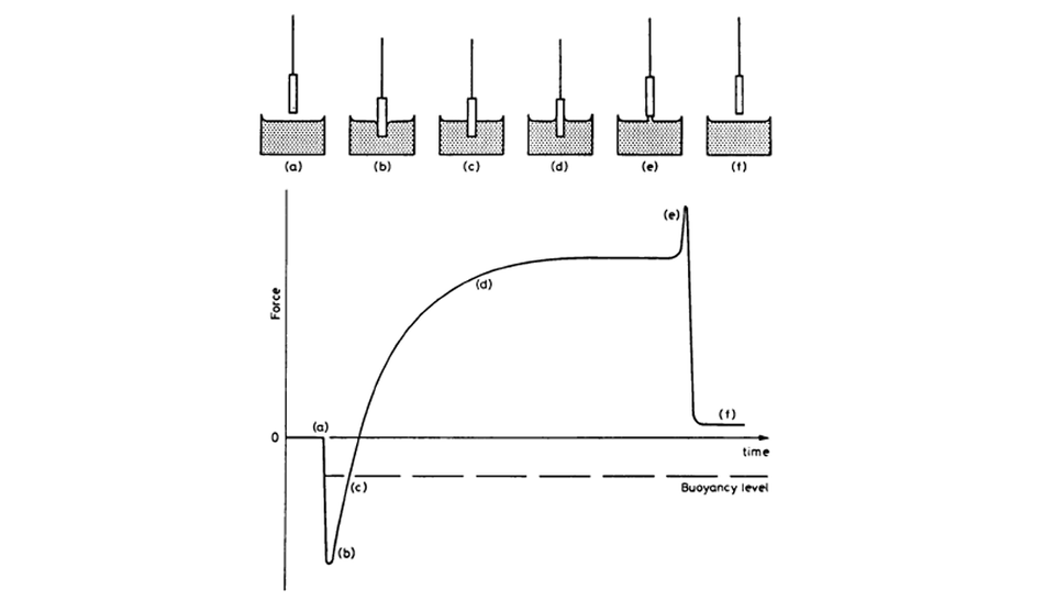 Typical Wetting Balance Curve