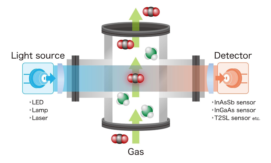 A schematic of a gas sensor
