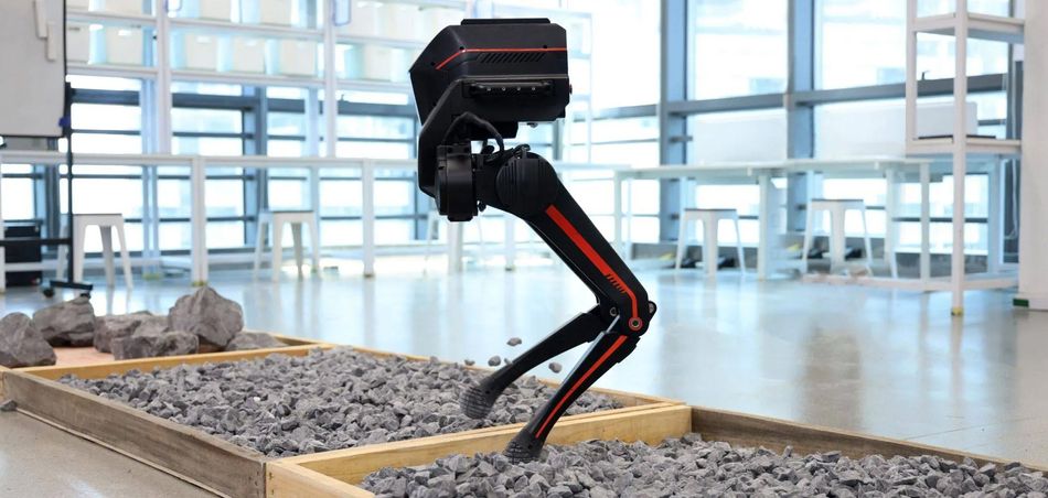 Biped Robot