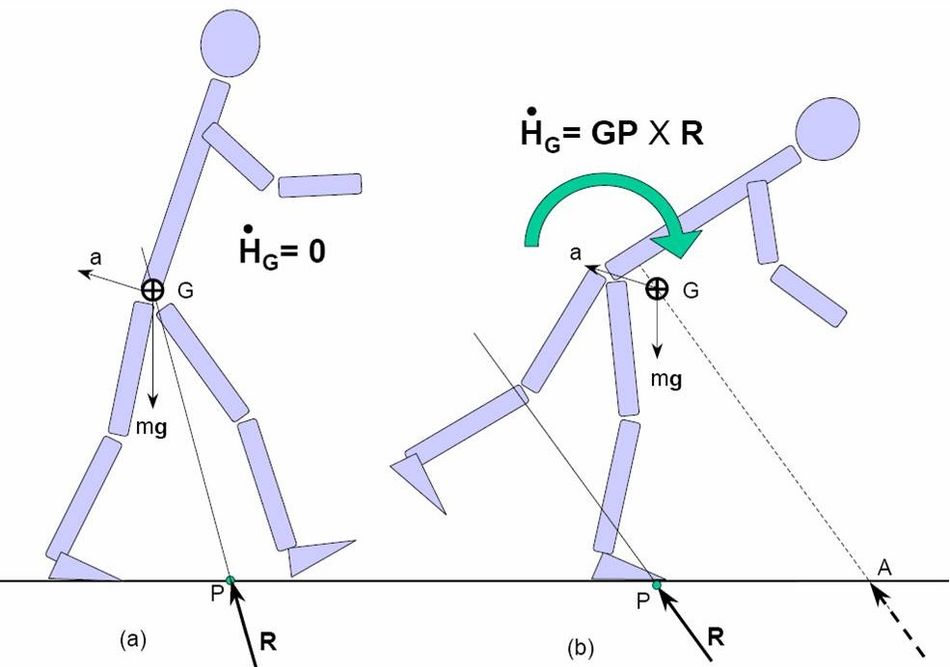 Angular Momentum in the Balance and Stability of Humanoid Robots; Image Credit: Ambarish Goswami