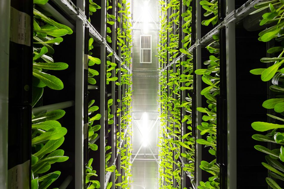agrifood-application-photonics