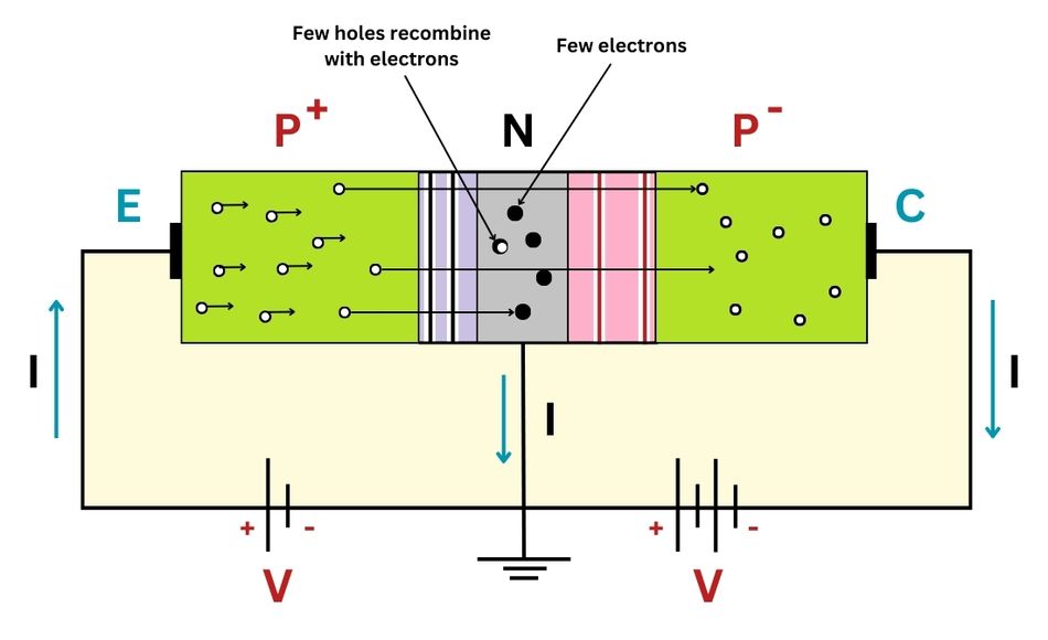 Internal Carrier Motion and Biasing in a PNP Bipolar Junction Transistor