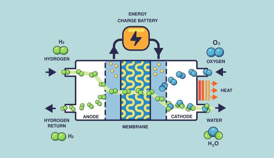 Hydrogen Fuel Cell - Work Principle