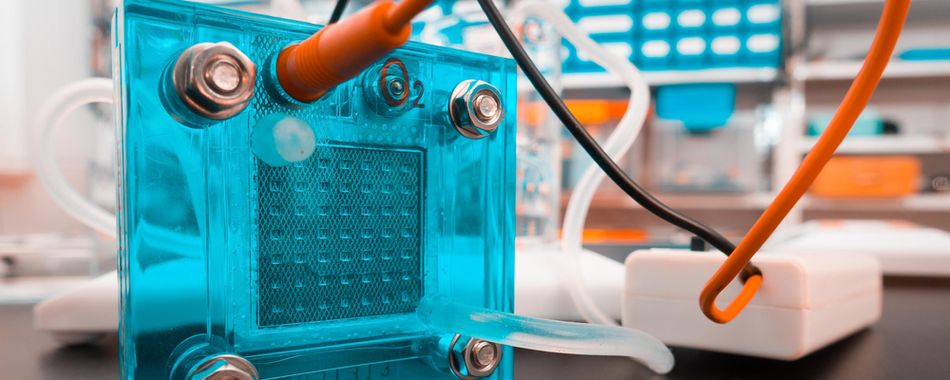 PEM Fuel Cell 
