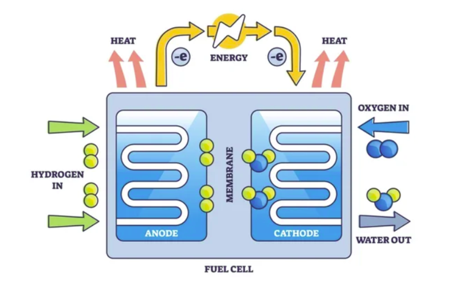 Oxygen and hydrogen separated by a membrane inside a fuel cell