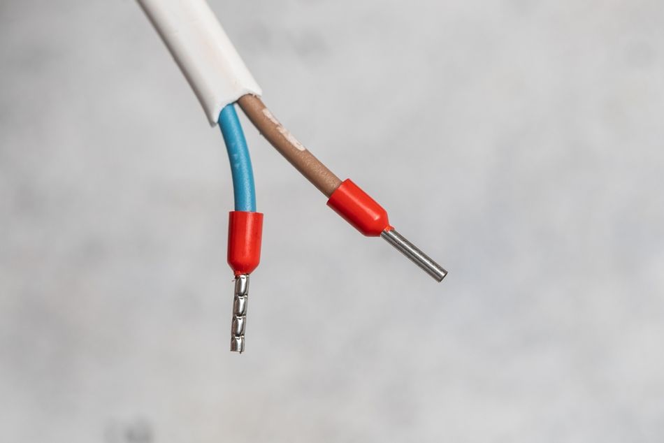 Close-up of electrical wires with crimped metal ferrules prepared for connection to a terminal block. 