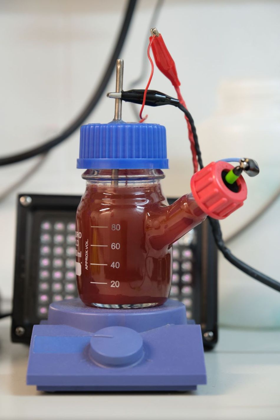 A microbial fuel cell powered by red and purple photobacteria